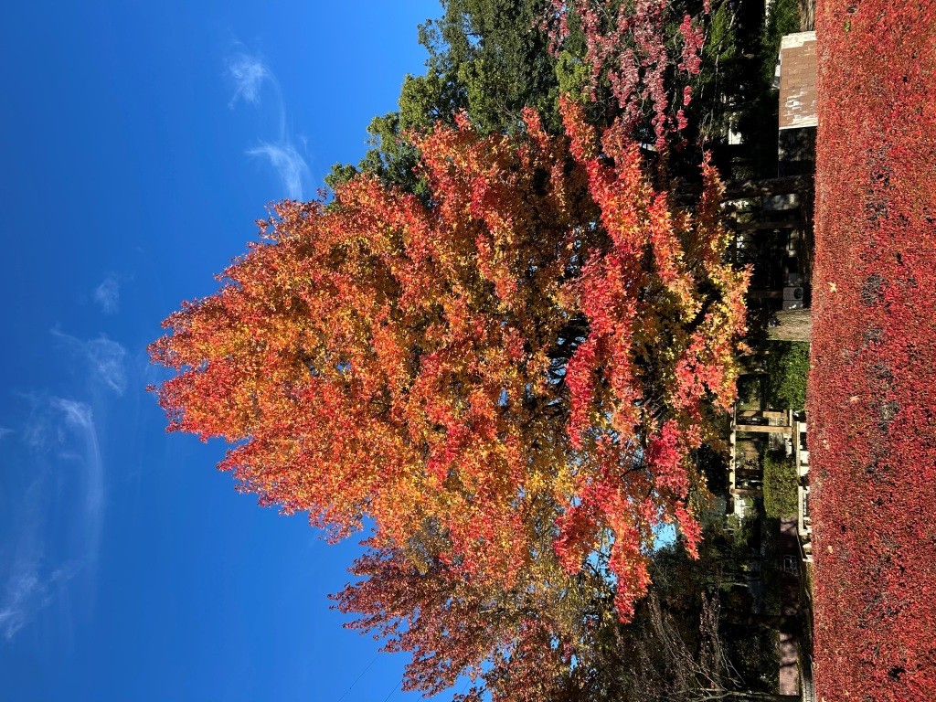 賢い決済方法だと思わない？ ミヤザキトーヨー住器のブログ 写真11