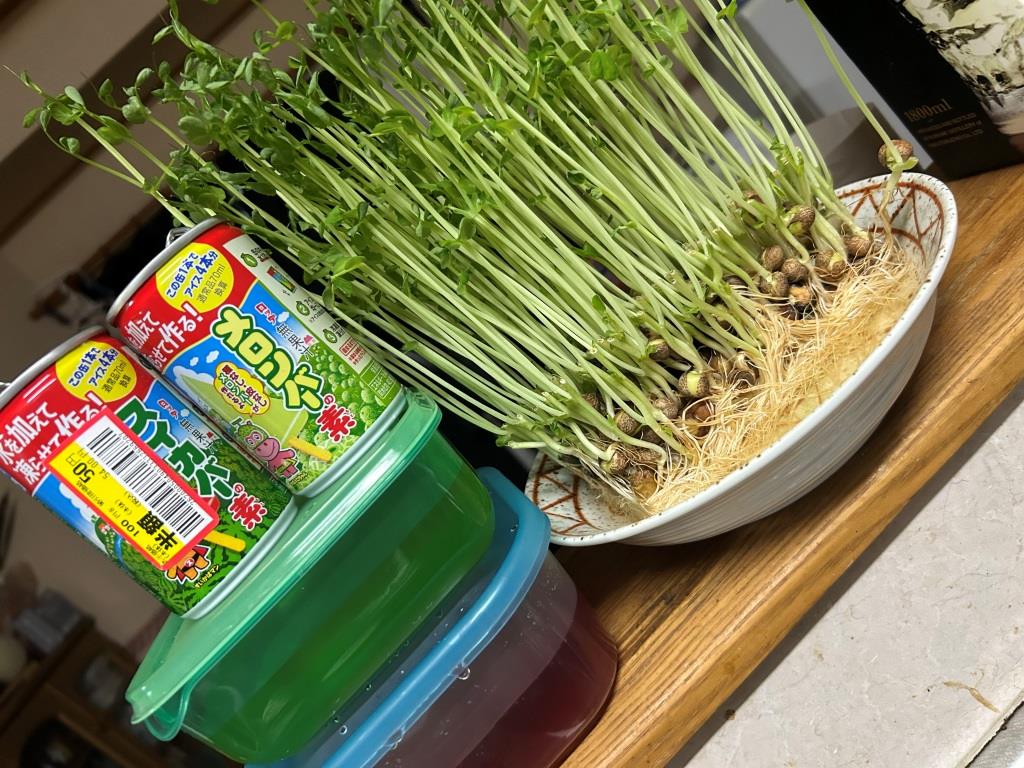 苦手な事もある ミヤザキトーヨー住器のブログ 写真4