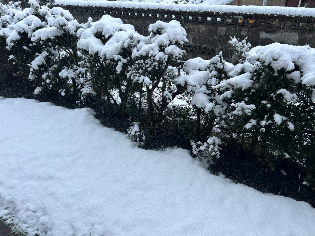 ちょっと降った ミヤザキトーヨー住器のブログ 写真4