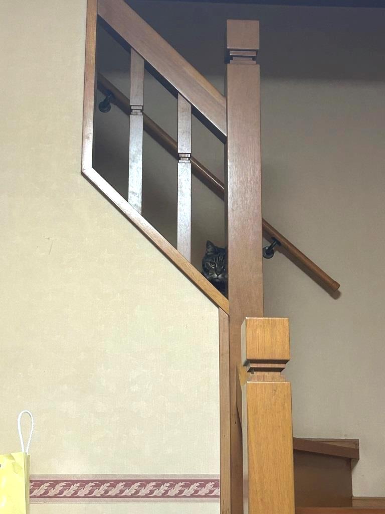 朝一から♡ ミヤザキトーヨー住器のブログ 写真3