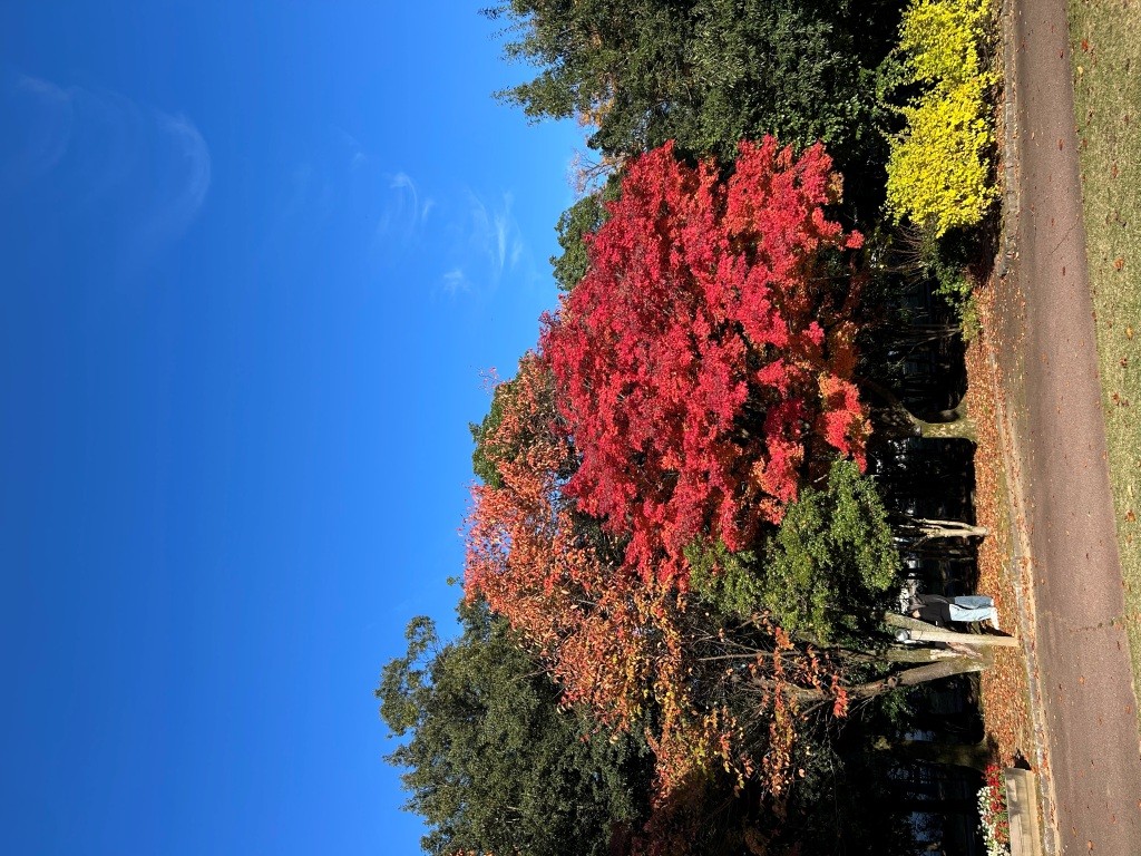 賢い決済方法だと思わない? ミヤザキトーヨー住器のブログ 写真12