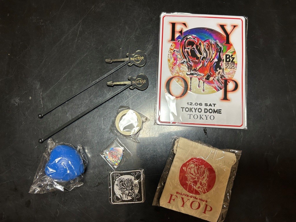 初！お江戸まる屋根 ミヤザキトーヨー住器のブログ 写真3