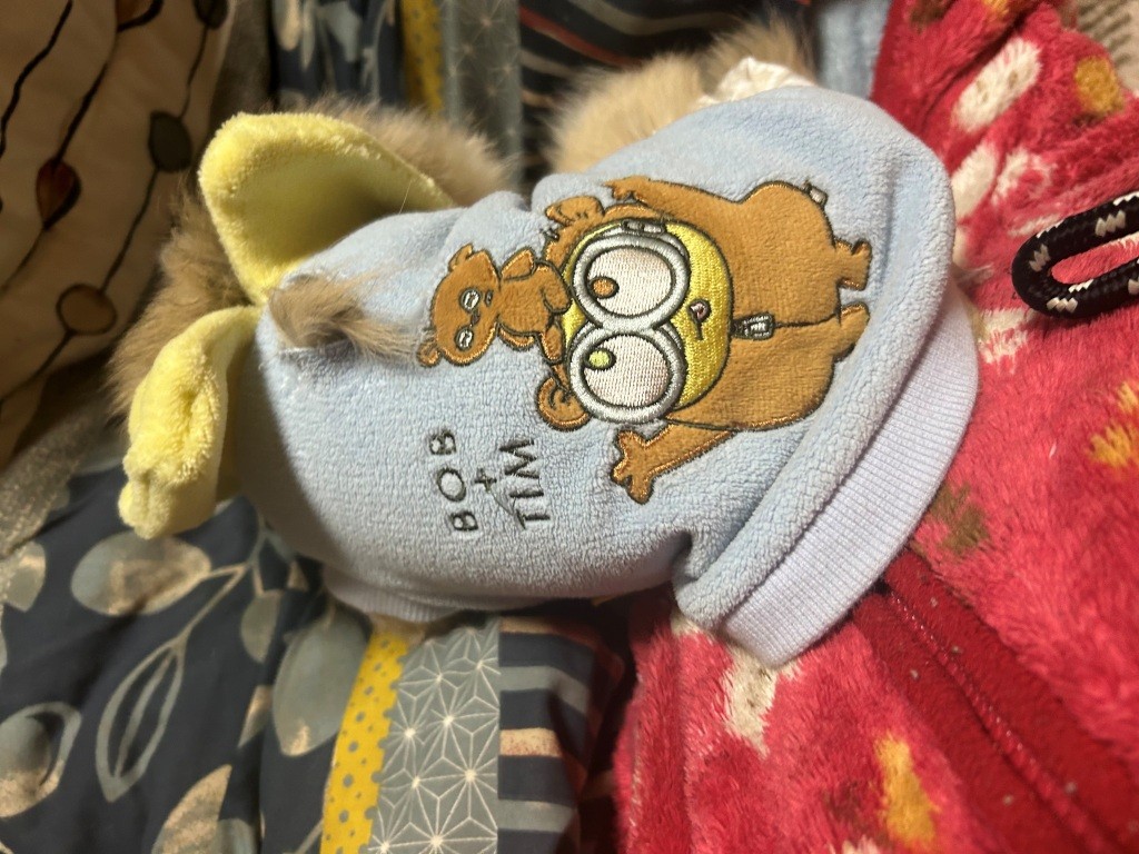 とりの日パックリニューアル ミヤザキトーヨー住器のブログ 写真7