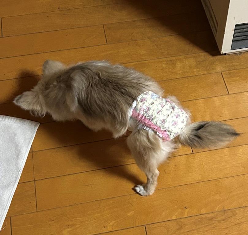 ストレスが溜まる週末 ミヤザキトーヨー住器のブログ 写真6