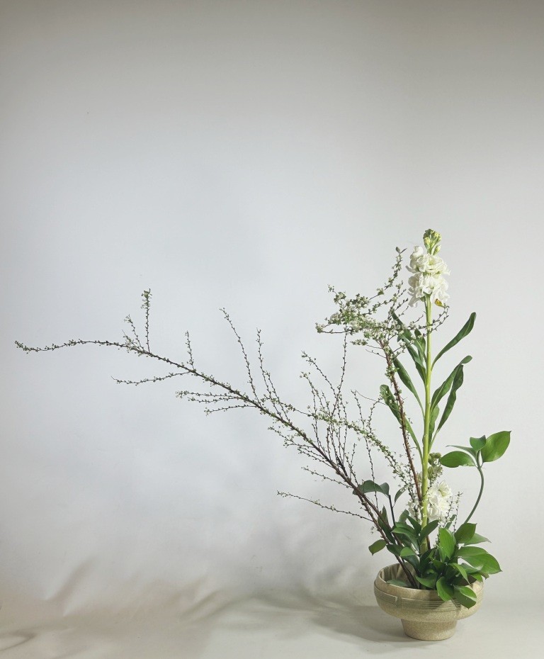 なんかいつも ミヤザキトーヨー住器のブログ 写真5