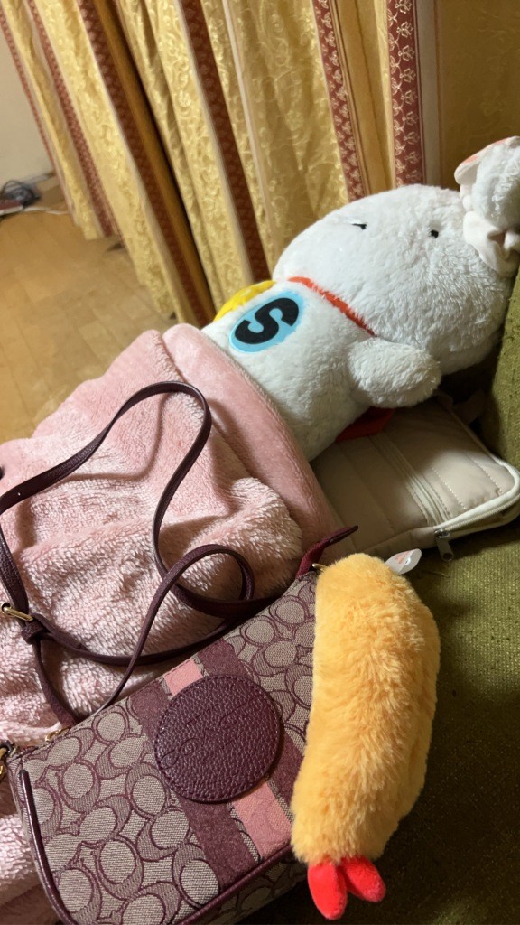 １エビ３ショウ ミヤザキトーヨー住器のブログ 写真3