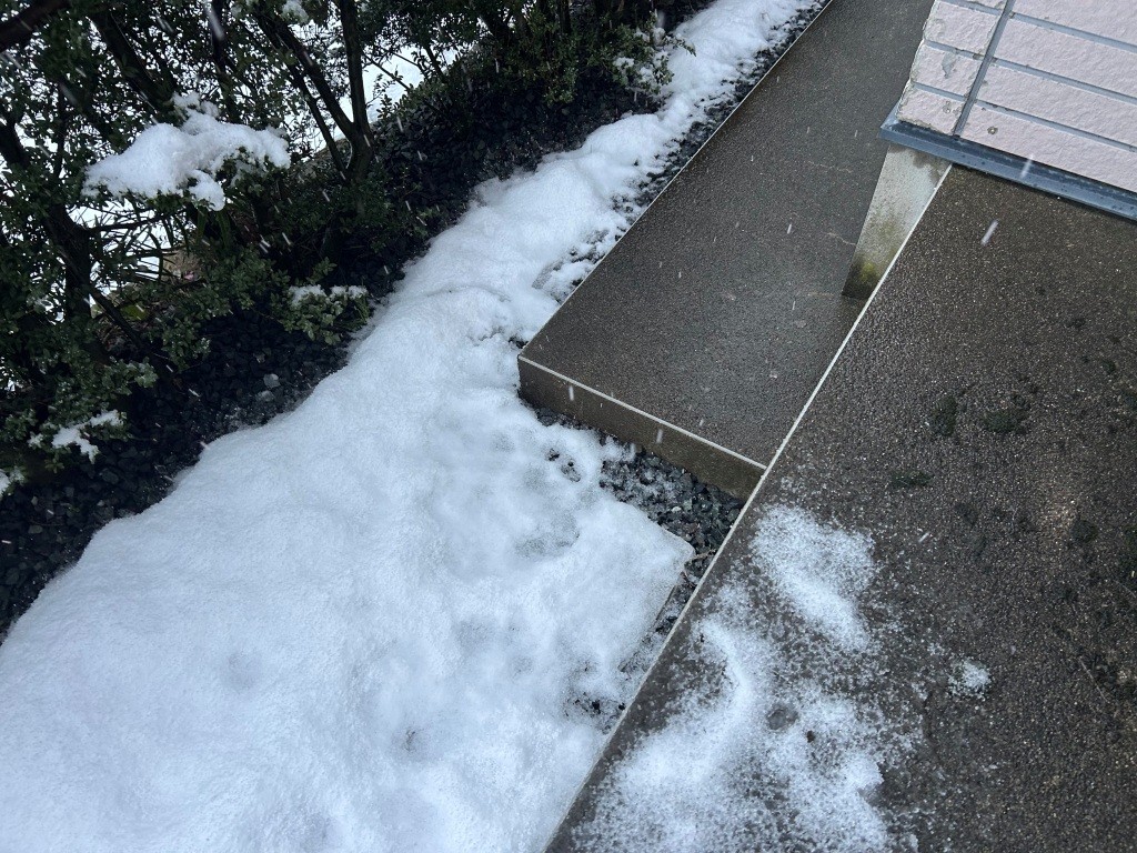 ちょっと降った ミヤザキトーヨー住器のブログ 写真3