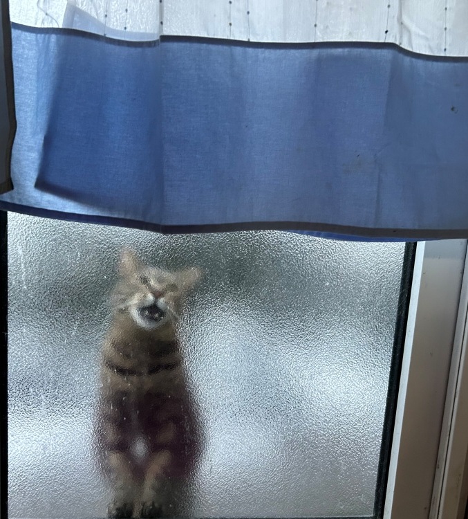 ちょっと降った ミヤザキトーヨー住器のブログ 写真5