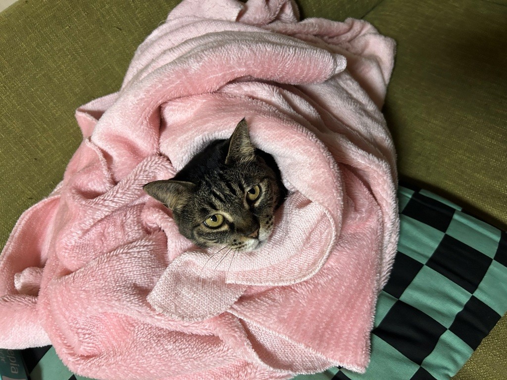 また休日を無駄に ミヤザキトーヨー住器のブログ 写真1