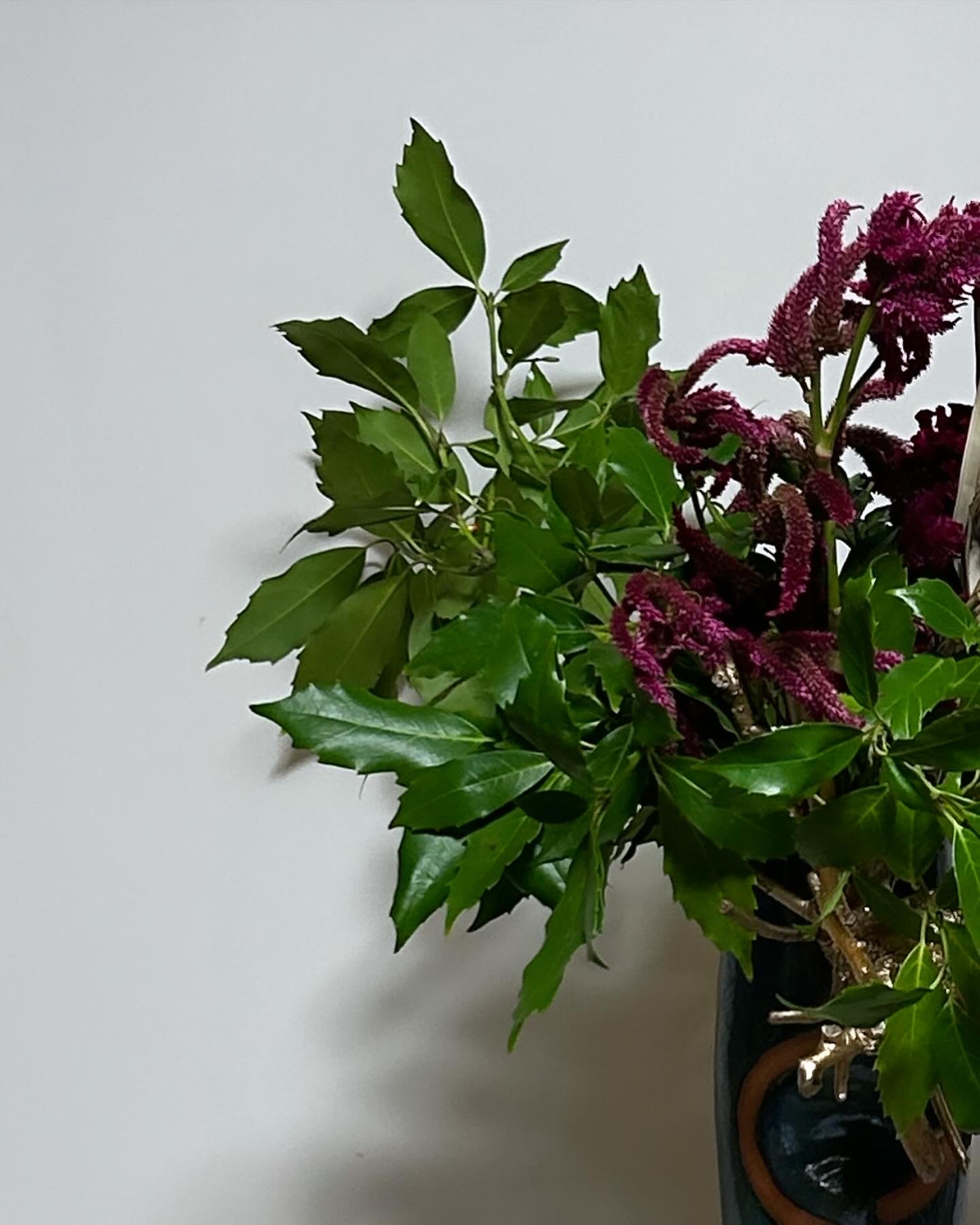花展デビュー( ´∀` ) ミヤザキトーヨー住器のブログ 写真3