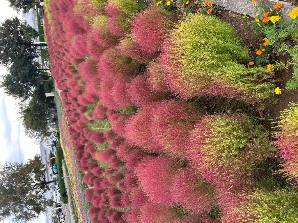 年末のご挨拶 ミヤザキトーヨー住器のブログ 写真13