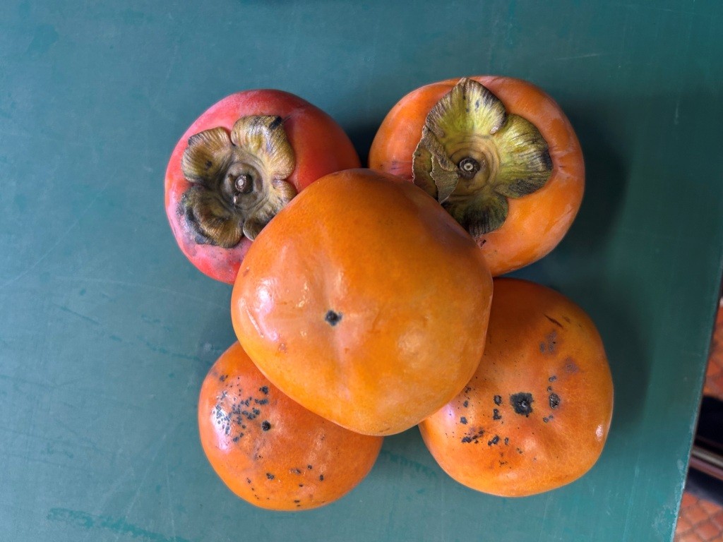 ロイズが来てた°˖☆◝(⁰▿⁰)◜☆˖° ミヤザキトーヨー住器のブログ 写真5