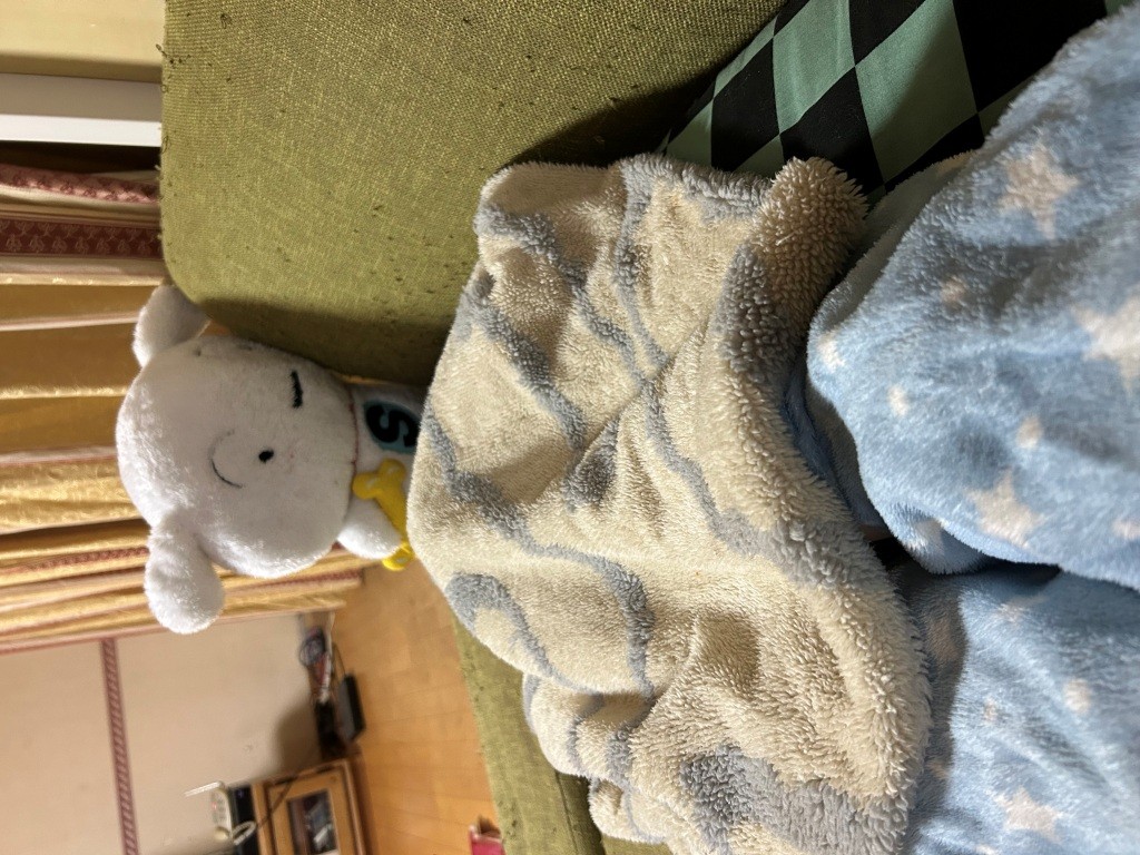 そこは映えフルシカトなのね ミヤザキトーヨー住器のブログ 写真9