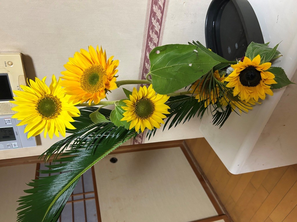 手前味噌ではございますが。③ ミヤザキトーヨー住器のブログ 写真1