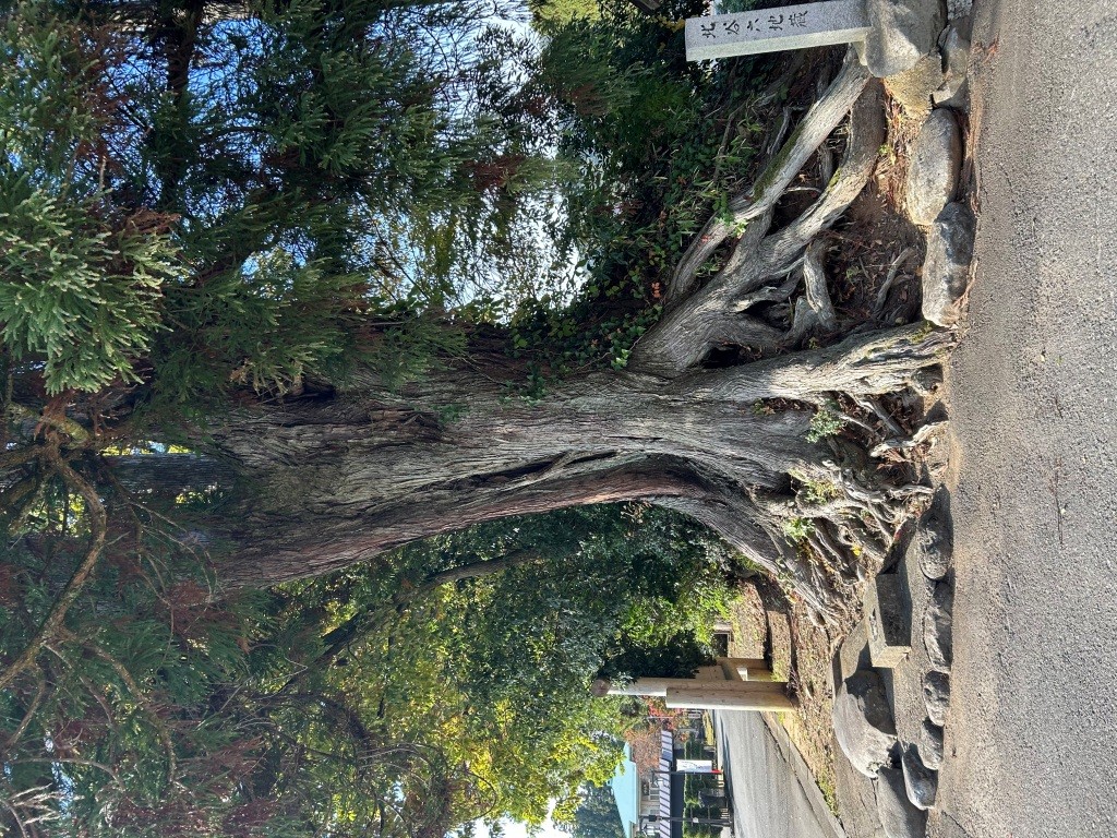 賢い決済方法だと思わない? ミヤザキトーヨー住器のブログ 写真9