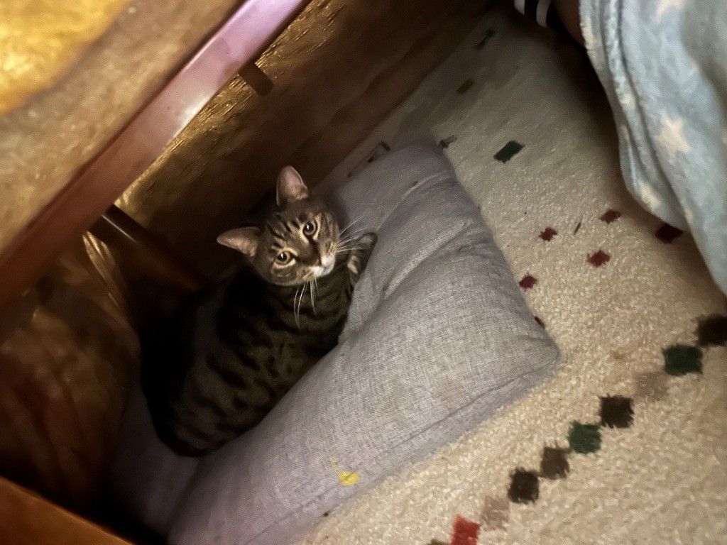 こっちのけもの ミヤザキトーヨー住器のブログ 写真4