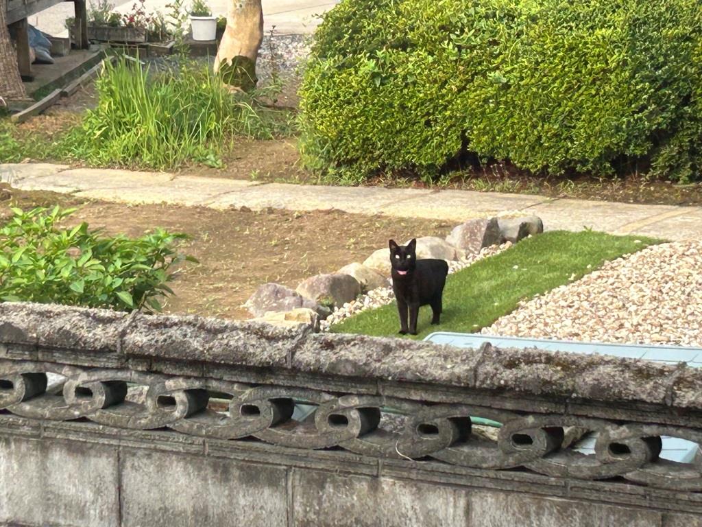 朝一から♡ ミヤザキトーヨー住器のブログ 写真2