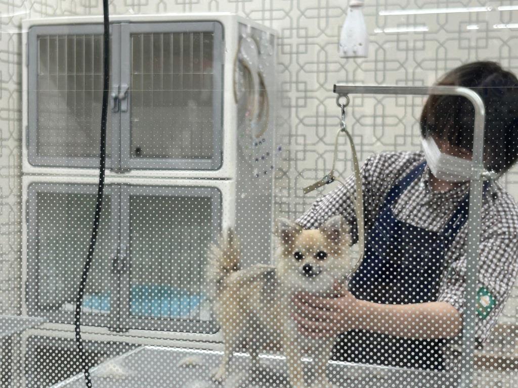 イッヌvsニンゲン ミヤザキトーヨー住器のブログ 写真1