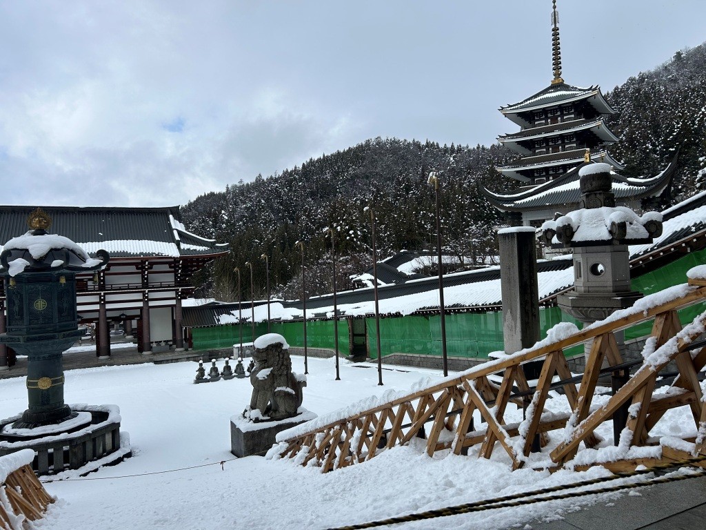 ちょっと降った ミヤザキトーヨー住器のブログ 写真7