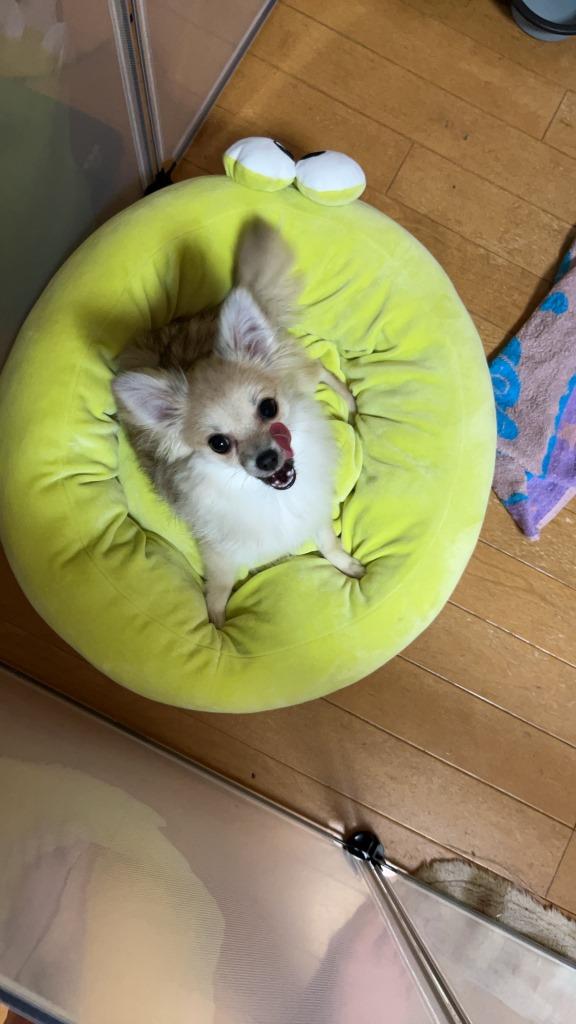 ストレスが溜まる週末 ミヤザキトーヨー住器のブログ 写真3