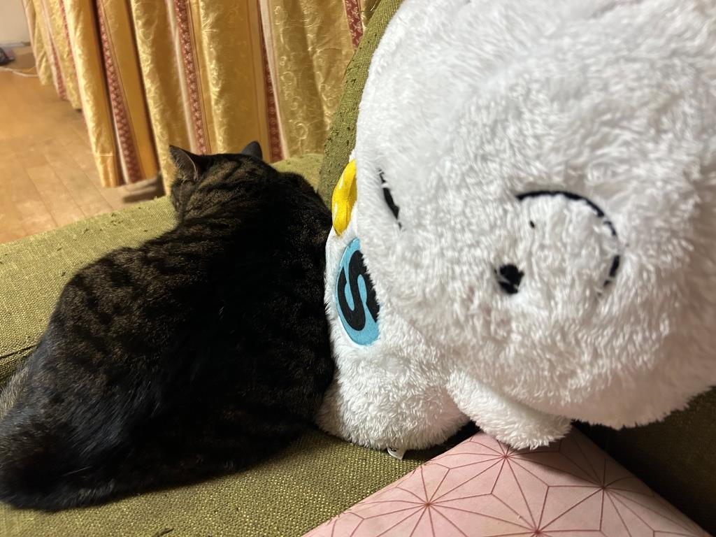 イッヌvsニンゲン ミヤザキトーヨー住器のブログ 写真9