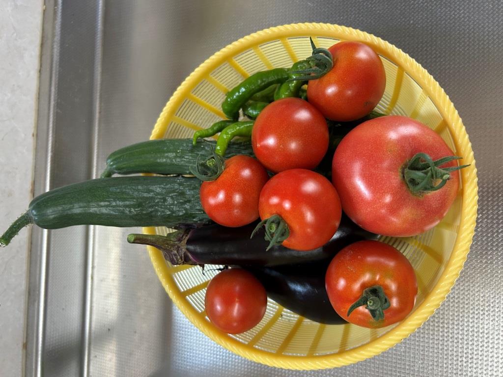 今年も半夏生の鯖を頂きました ミヤザキトーヨー住器のブログ 写真3