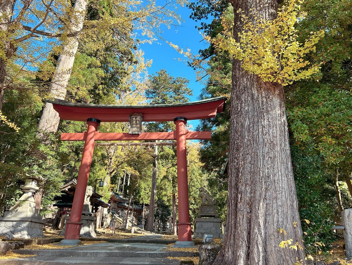 思い込みって怖いねぇって ミヤザキトーヨー住器のブログ 写真3