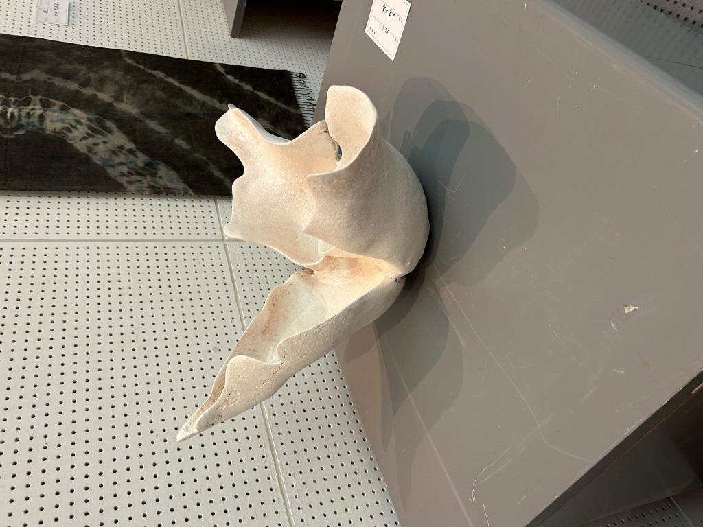 第38回市美展ふくい ミヤザキトーヨー住器のブログ 写真7