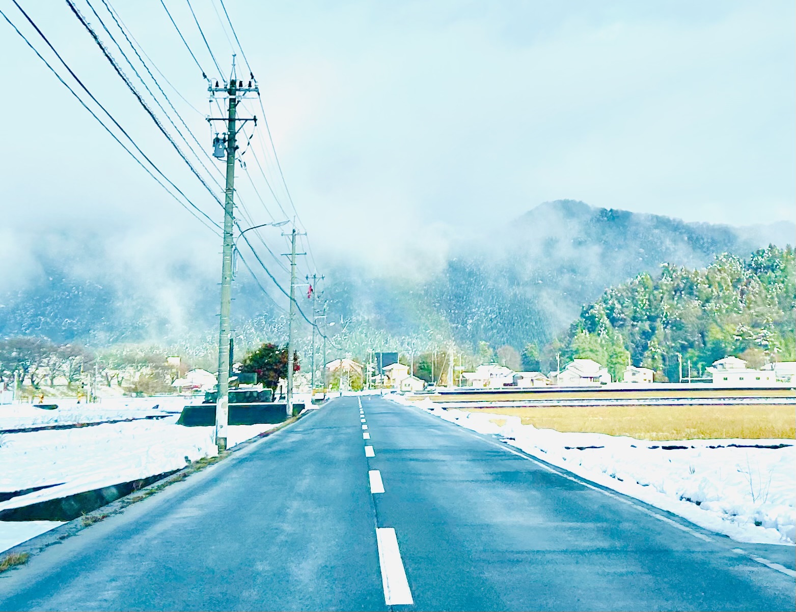 カイリュー好きな人、たぶん福井に来たら感動すると思う!! ミヤザキトーヨー住器のブログ 写真9