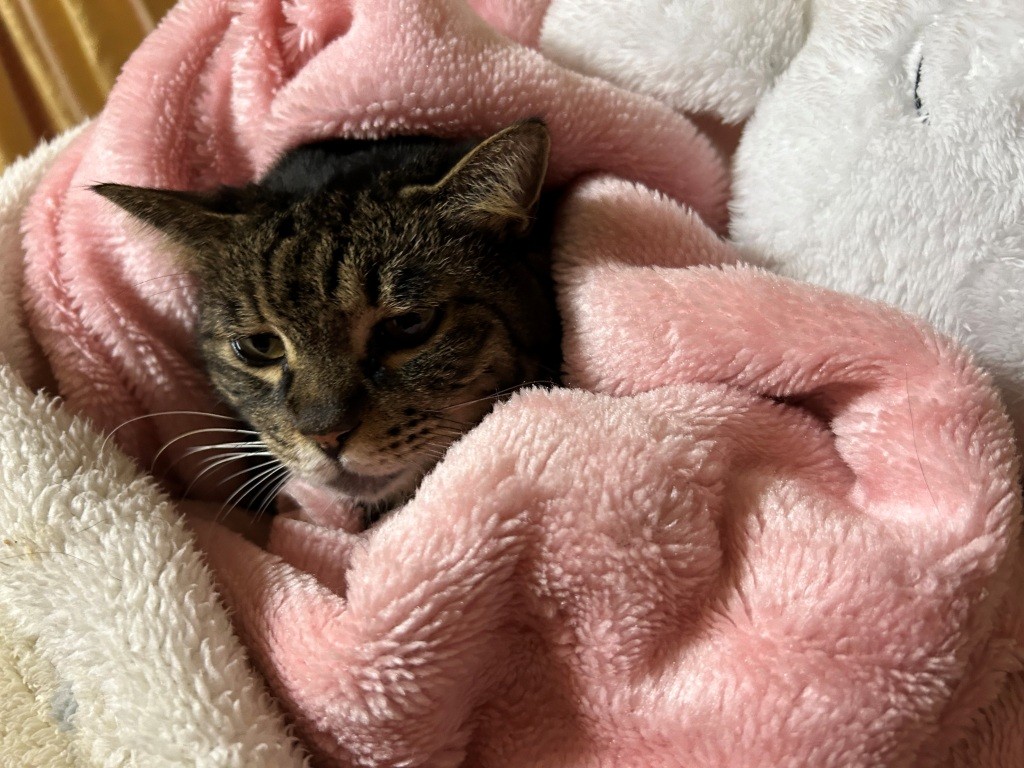 手前味噌ではございますが。③ ミヤザキトーヨー住器のブログ 写真4