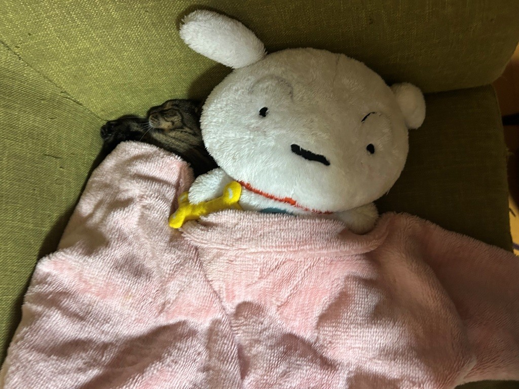 バッテリーが上がったぁ(´;ω;`)ウッ… ミヤザキトーヨー住器のブログ 写真6