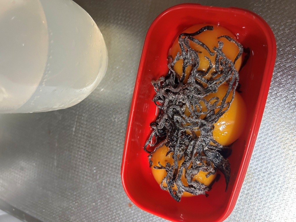 ナスすべ無 ミヤザキトーヨー住器のブログ 写真4