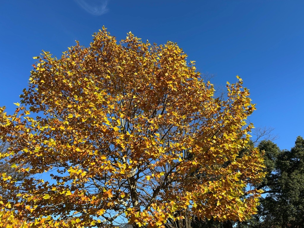 賢い決済方法だと思わない? ミヤザキトーヨー住器のブログ 写真10