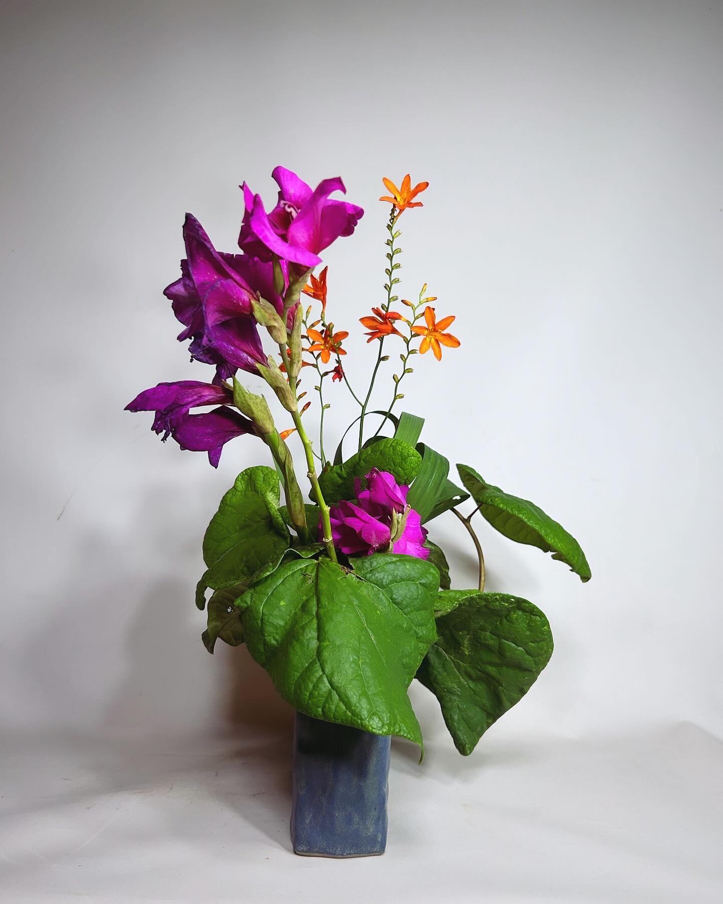 花展デビュー( ´∀` ) ミヤザキトーヨー住器のブログ 写真2