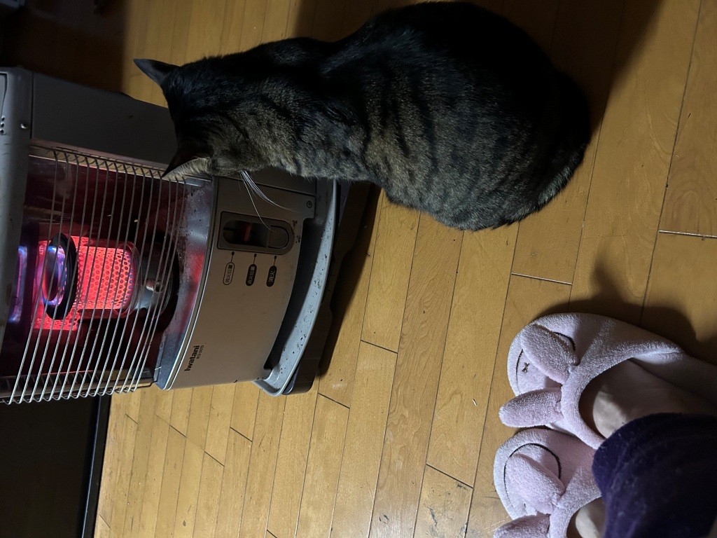 今朝は余裕の、よっちゃん ミヤザキトーヨー住器のブログ 写真3