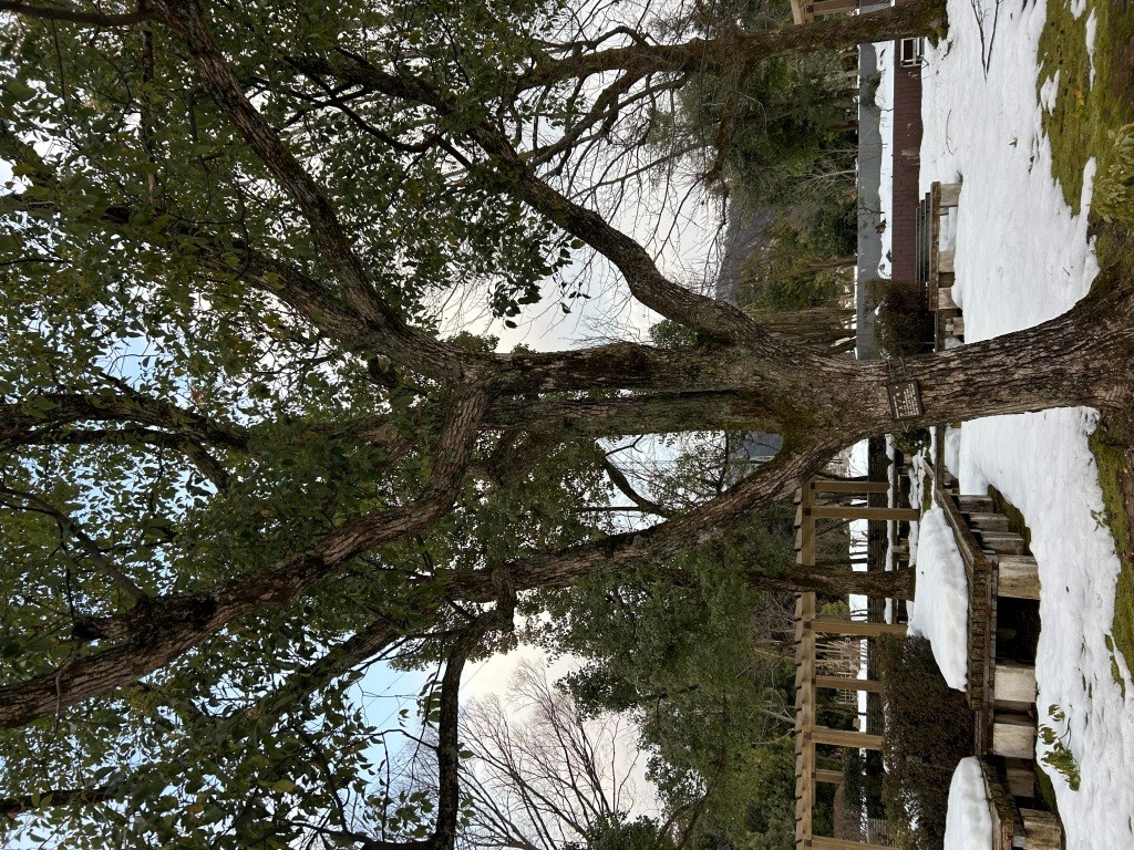 U-NEXTポイント ミヤザキトーヨー住器のブログ 写真3