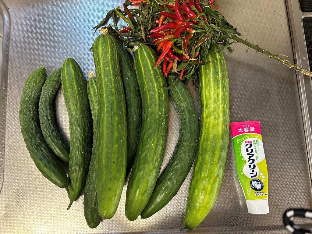 美味しいもの一杯頂く ミヤザキトーヨー住器のブログ 写真2
