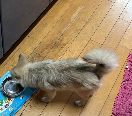 ストレスが溜まる週末 ミヤザキトーヨー住器のブログ 写真7