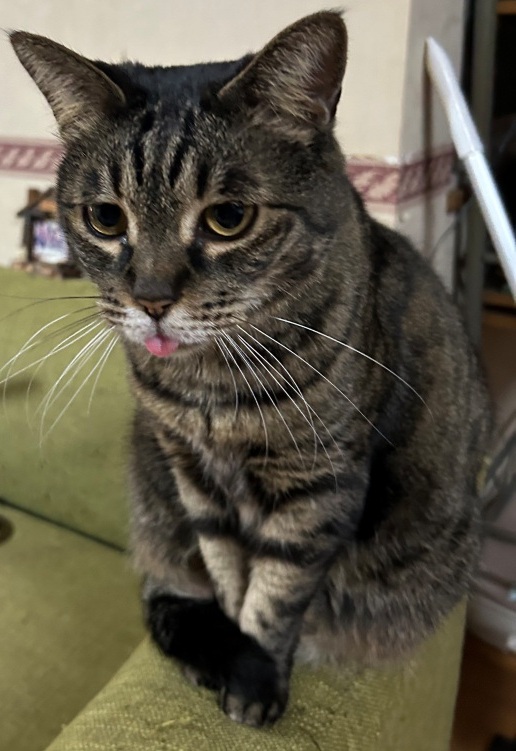 また休日を無駄に ミヤザキトーヨー住器のブログ 写真3