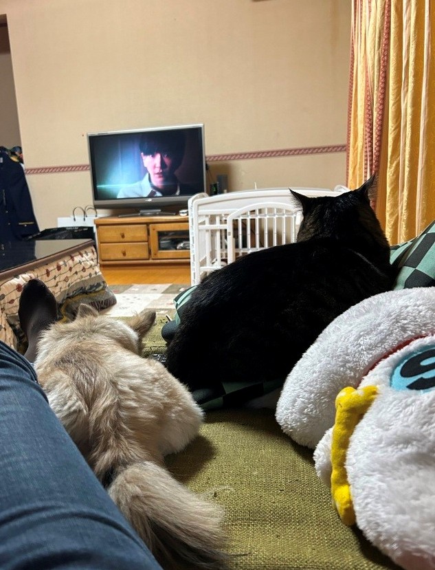 フライング恵方巻 ミヤザキトーヨー住器のブログ 写真1