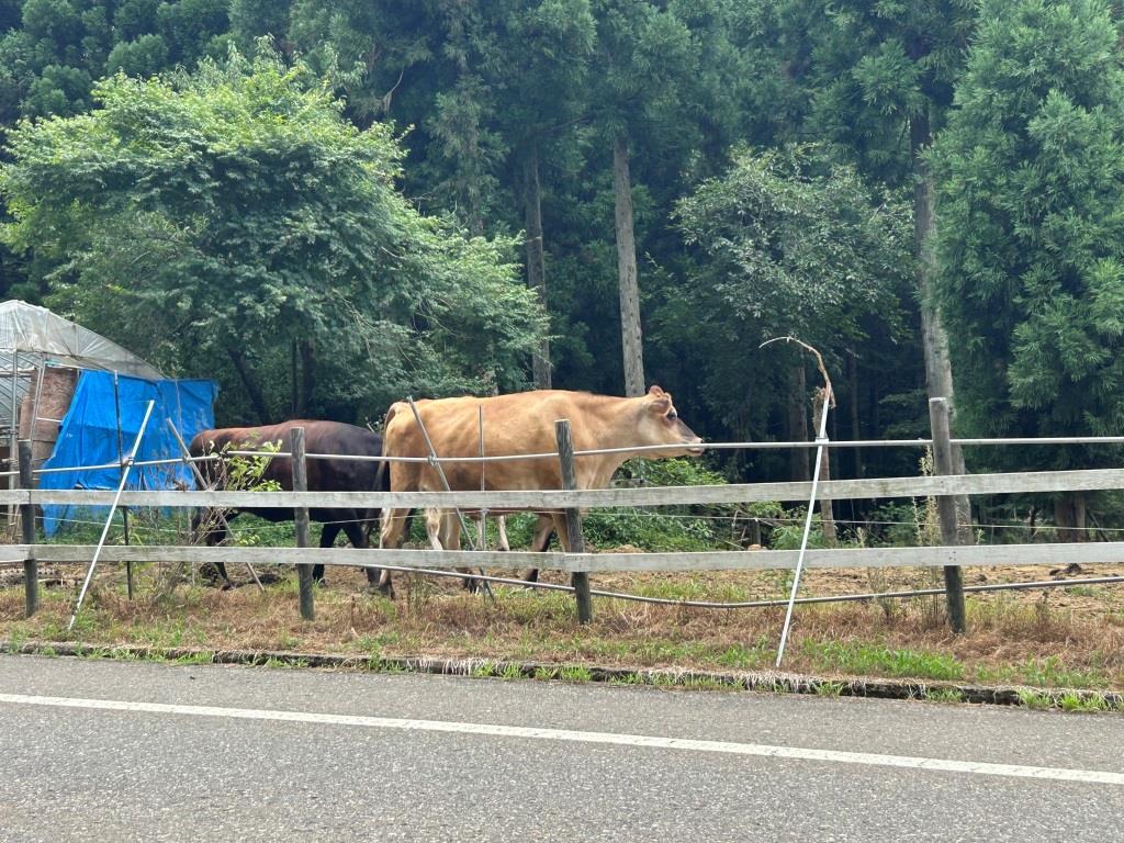 トレルン遊丸岡店グランドオープン日☆彡 ミヤザキトーヨー住器のブログ 写真5