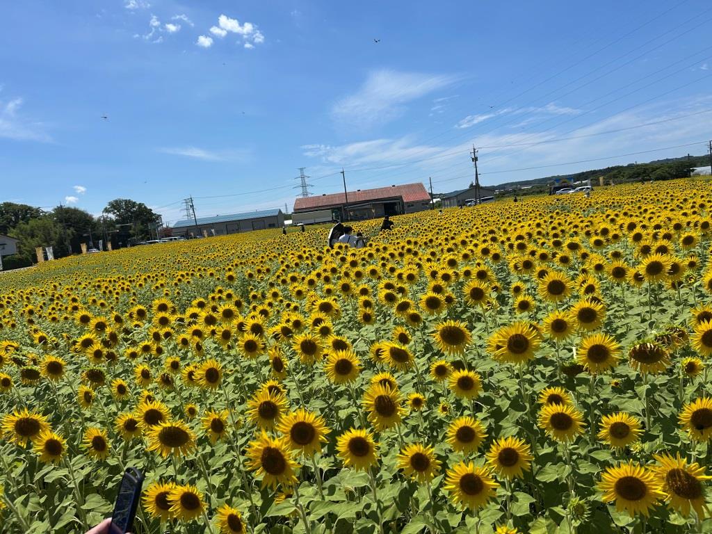 あ~夏休み!!!BBA~☆彡 ミヤザキトーヨー住器のブログ 写真4