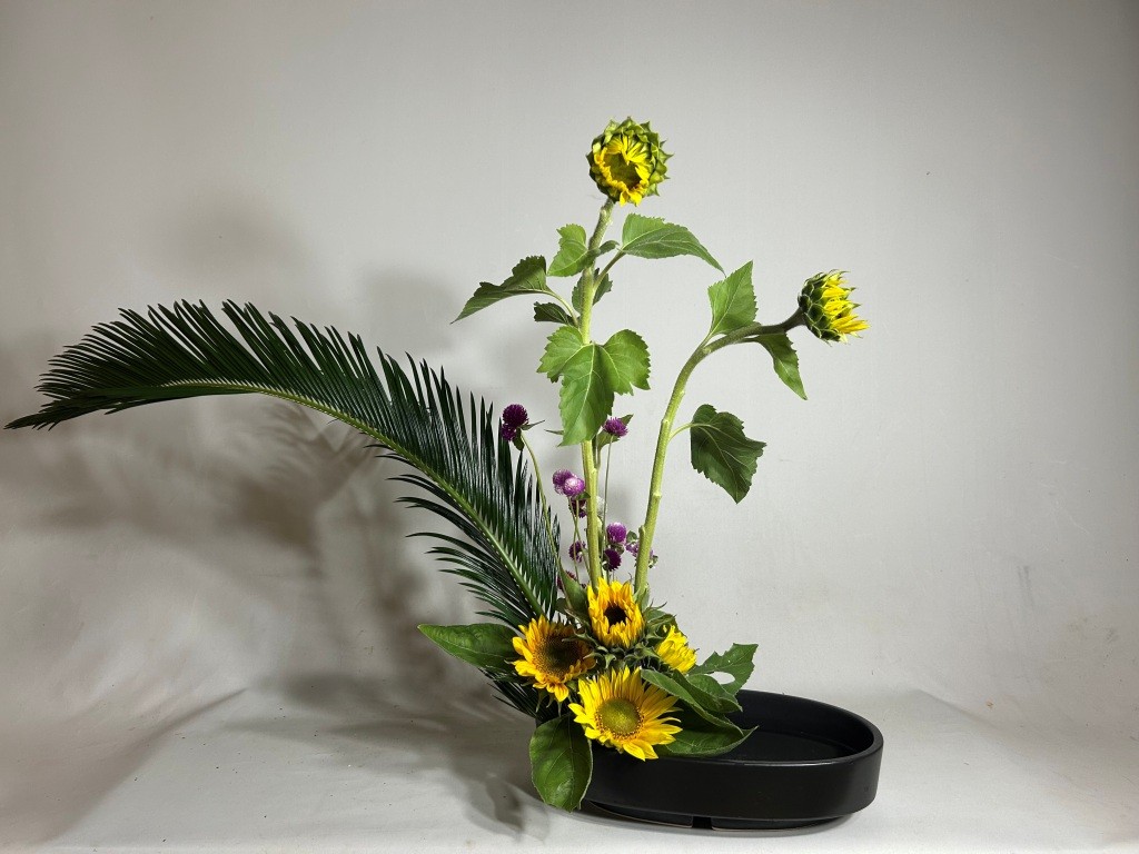 落ち着け ミヤザキトーヨー住器のブログ 写真1