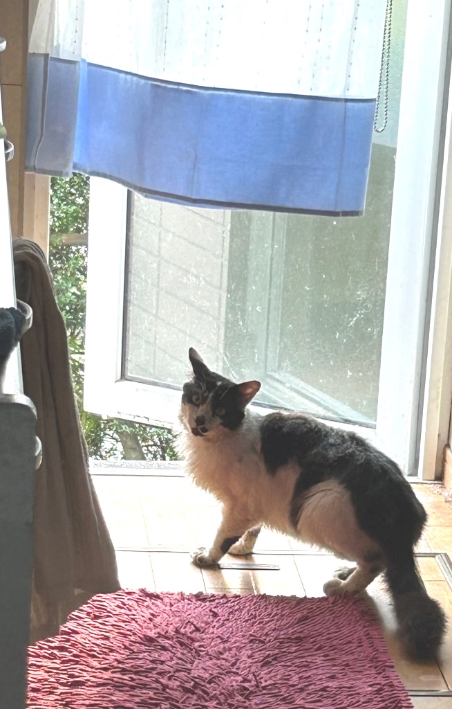 風は有るが ミヤザキトーヨー住器のブログ 写真1