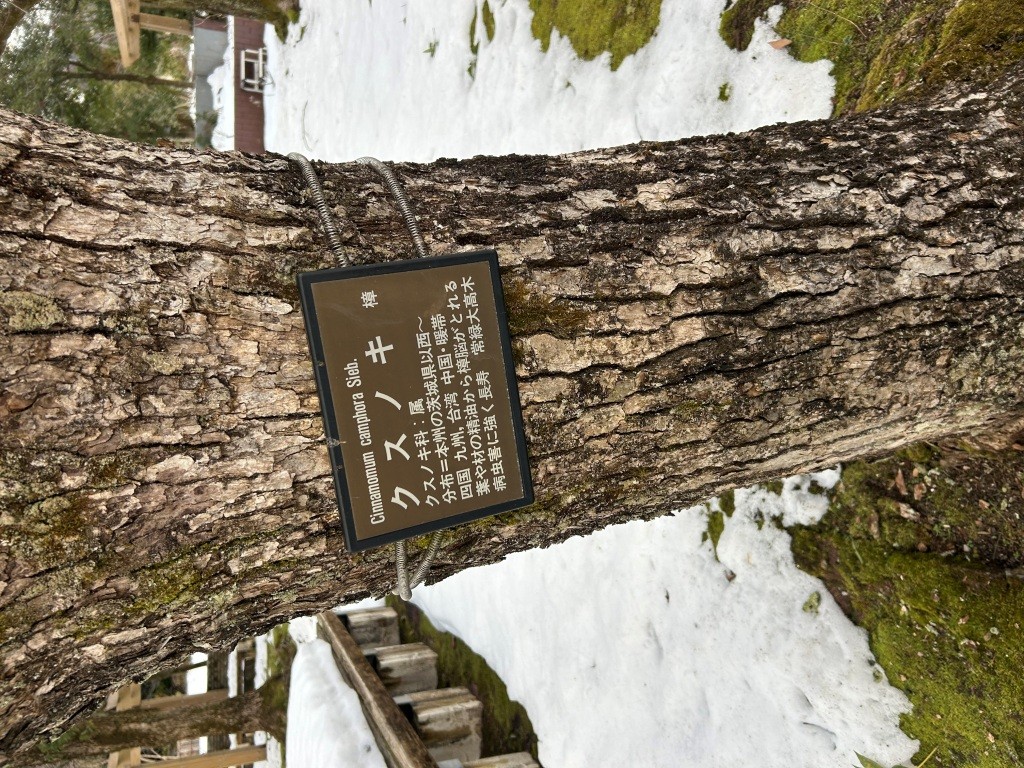 U-NEXTポイント ミヤザキトーヨー住器のブログ 写真4