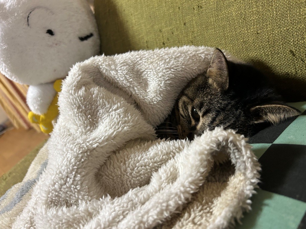 そこは映えフルシカトなのね ミヤザキトーヨー住器のブログ 写真8