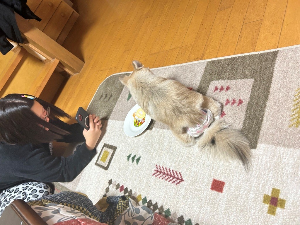 けもの生誕祭 ミヤザキトーヨー住器のブログ 写真2