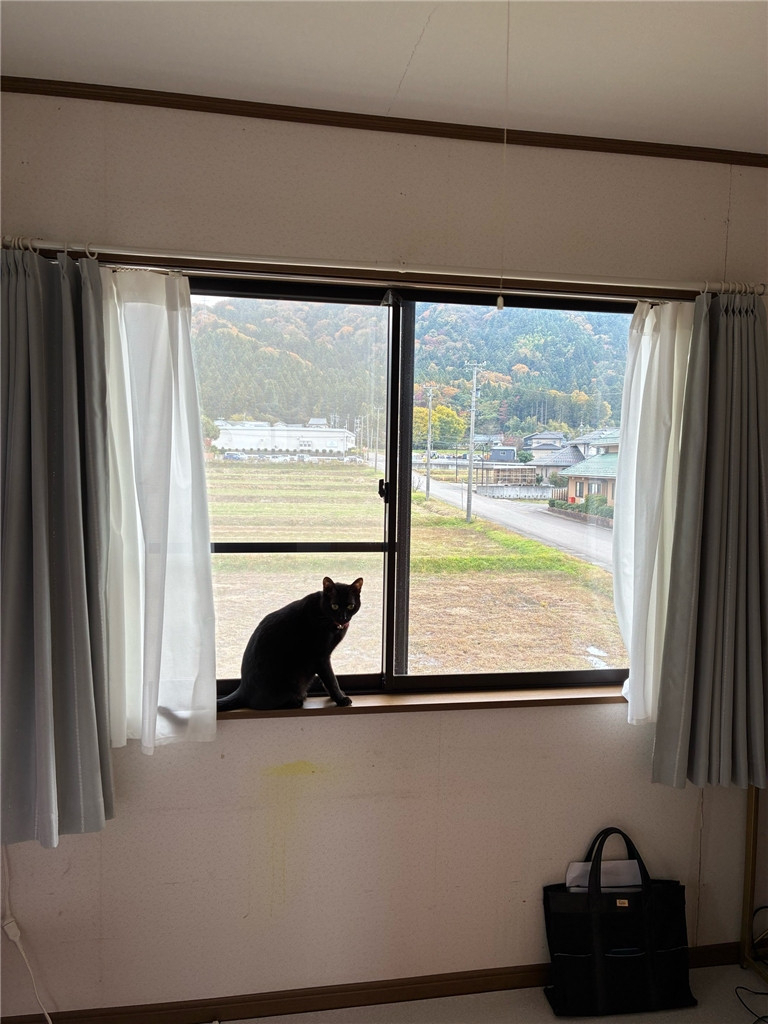 ミヤザキトーヨー住器の2026年窓リノベ事業継続決定。【内窓設置】ユーザー様の『もっと早くやればよかった』の正体。のお客さまの声の写真1