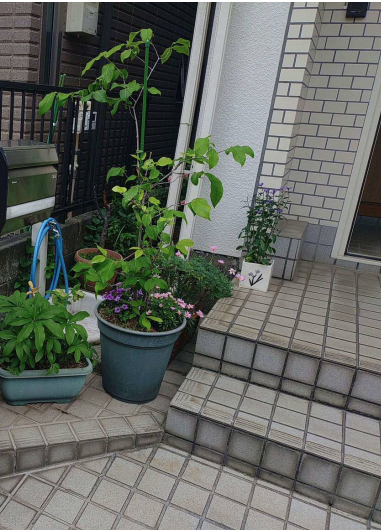 トーヨコトーヨー住器の玄関横に手摺の取付しました〔川崎市内〕の施工前の写真1