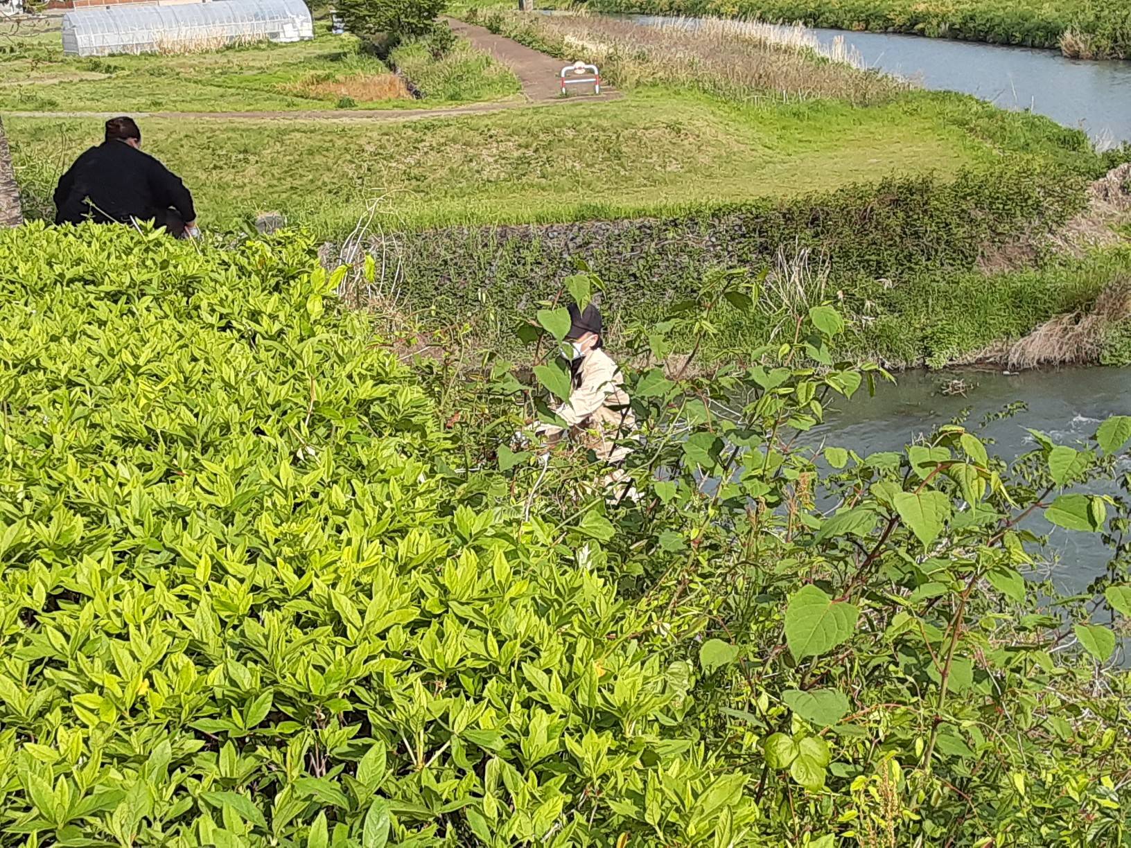 みんなで河川清掃✨ 石田ガラスサッシ販売のブログ 写真1